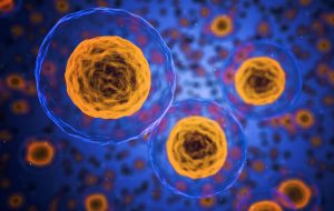 BOND21 2020 Nanoscience
